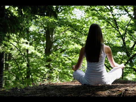 5-Minute Meditation | Bird Sounds | Bells