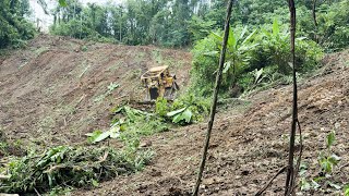Conquer Mountain Palm Land with D6R XL Bulldozer Expert Strategy!