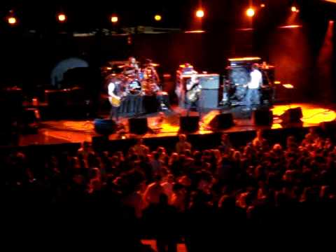 Kings of Leon Taper Jean Girl at Weenie Roast