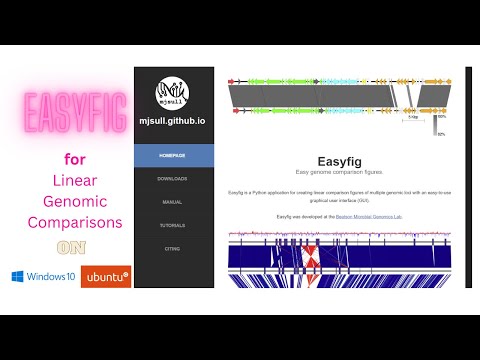 Easyfig analysis - Tutorial | On Windows and Ubuntu | linear genomic comparisons