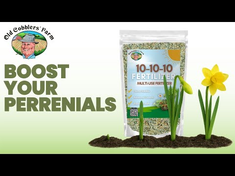 How to Apply Old Cobblers Farm™ 10-10-10 Fertilizer To Your Daffodils
