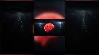 How Mindfulness Rewires the Brain | Neuroscience Explained