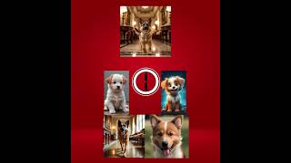 Quiz #ai #dog #quiz #funny #learnbotland