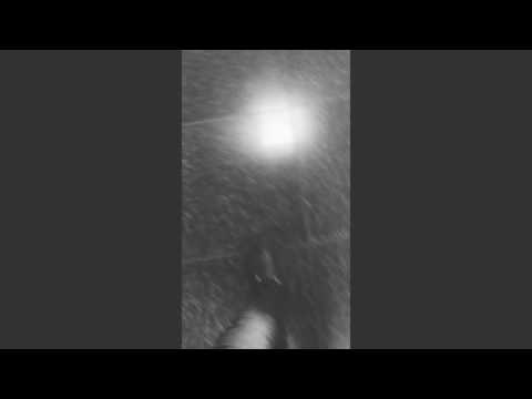 The Happy Walk