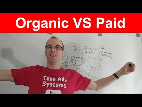 YouTube Organic VS YouTube Paid Ads, Channel Update, & More!