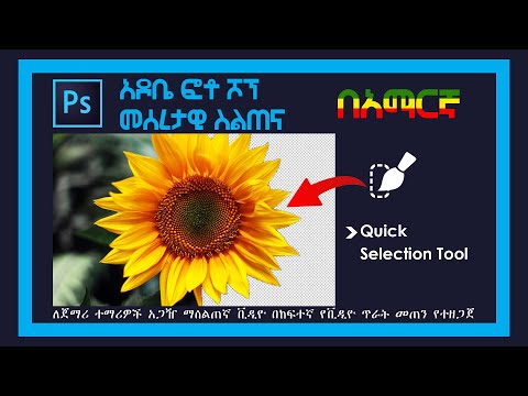 Quick Selection Tool