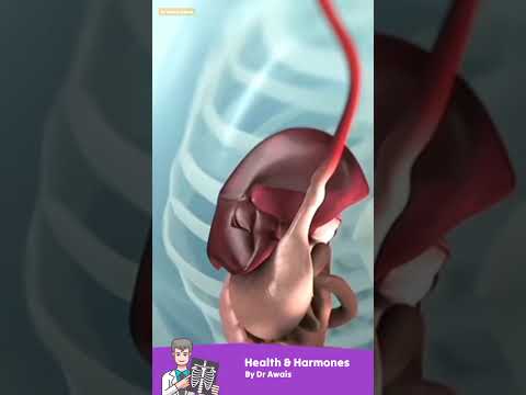 Common Symptoms of Diabetes You Shouldn’t Ignore! 🚨 #diabetes  #HealthTips #shorts #youtubeshorts