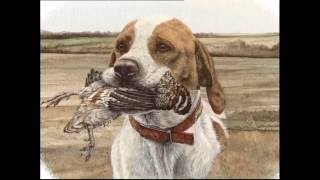 The Pointer - Pet Dog Documentary English