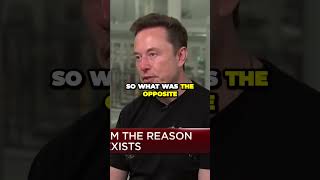 The SECRET of OpenAI: Elon Musk talk about his contribution on OpenAI #ElonMusk #OpenAI