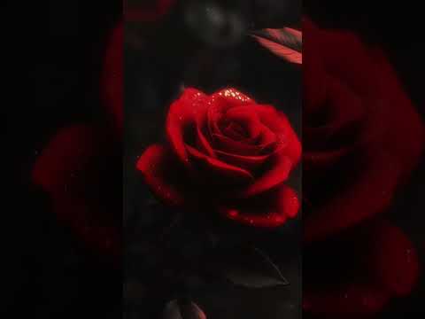 ഒന്നിനുമല്ലാതെ.....🌹