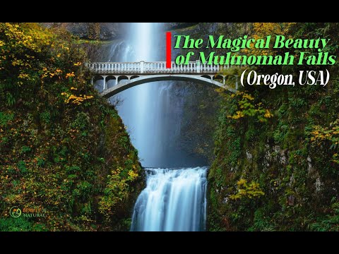 Oregon’s Columbia River Gorge & Multnomah Falls | A Nature Lover’s Paradise 🌿🌊 - Beauty of nature