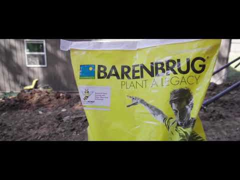 How to Plant Grass Seed in a Naturalized Area