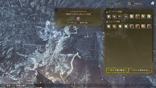【MHWilds】歴戦王アルシュベルド スラアク 09'57"94 捕獲