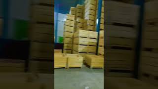 Apple cold storage system lassipora