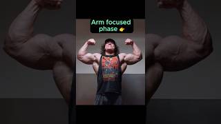 Road to HUGE arms #hybridapp #samsulek #armday #hybridathlete
