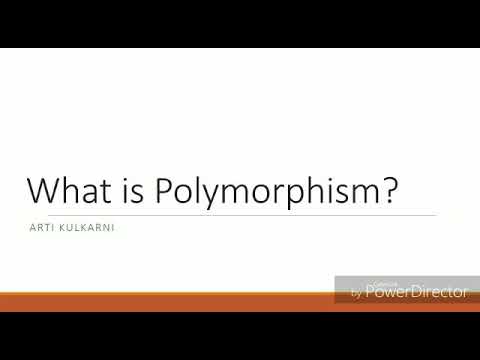 What is Polymorphism in Java?
