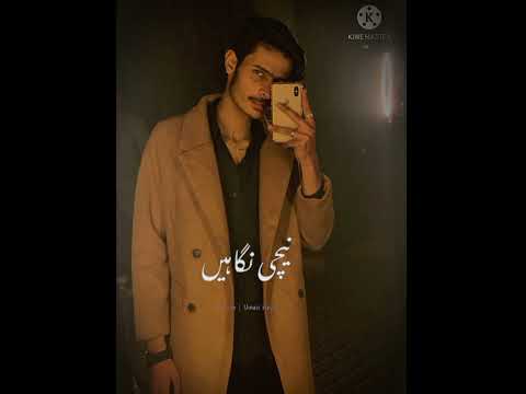 #trendingvideo#trendshortvideo#nfaklines#sadstatus #video#sadstatus#capcut #tiktok#pakistanzindabad