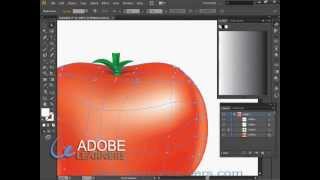 How to use mesh tool in Adobe Illustrator : Draw a Tomato