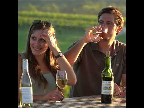 Millbrook Picnics 2022