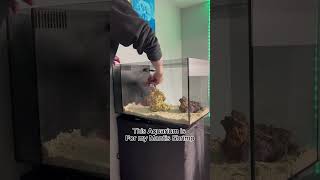 BUILDING A SALTWATER AQUARIUM IN 10 SECONDS! (SURPRISE ANIMAL)