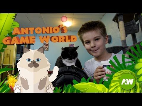 Cute Cats at CATMOSPHERE SYDNEY: play with lots of cute adorable cats, kids and cats fun!