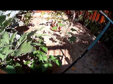 Prapa_September_2015_Video6