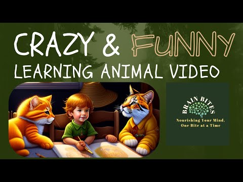 ABCD - ALPHABET ADVENTURE