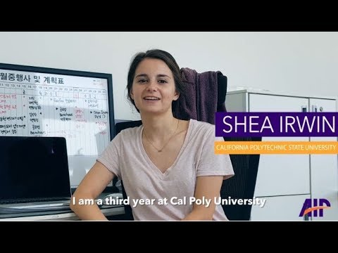 AIP - Shea's South Korea Internship Testimonial