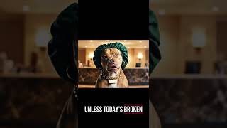 JARQUEEFA THE PITBULL GROOMER RANT #ai #funnyshorts #comedy #aistorytelling