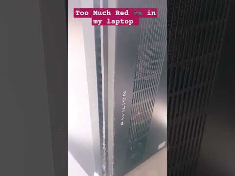 Red ants in my laptop #ants