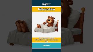 🇬🇧 Hibernation Meaning : Flash Card : Learn English Vocabulary