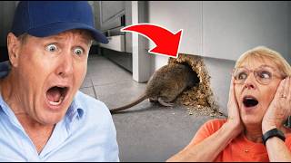 Everyone Missed This HORRIFIC Rat Smell Inside Her Walls!