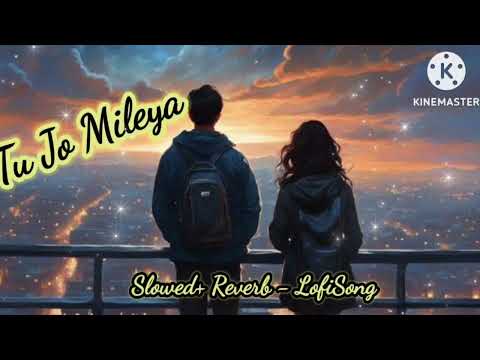 Tu Jo mileya Slowed & Reverb Punjabi Romantic Song Lofi Song 2024 #lofimusic #lofisongs #lofichill
