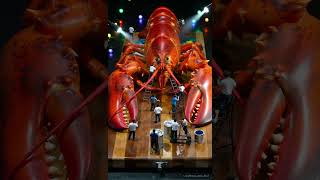 Know your food: Lobster