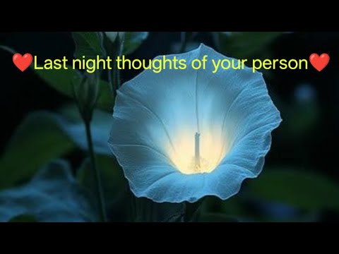 Last night thoughts of your person#astrology#tarot#tarodeck#love#wellnessjourney#peaceful#yogamusic 