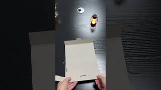 Why Startups Love Eco-Friendly Packaging 🚀