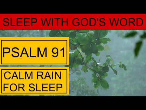 Sleep with God’s Word(Psalm 91) #iprayjesusslay #sleep #powerfulpsalms #sleepwithgodsword #calmrain