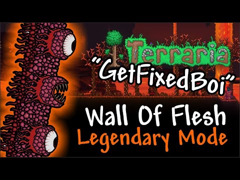 Wall of Flesh Boss Fight // Get Fixed Boi Legendary Master Mode // Terraria