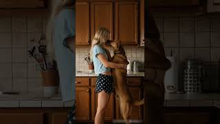 Can Your Dog Do This Every Morning? #DogLover #PetVlogs #CozyVibes