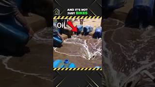 Dangerous World of Oil Smuggling at the Pakistan-Iran Border!