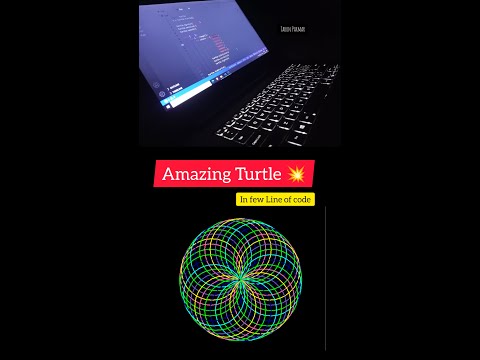 Python Graphics Tutorial | Best Turtle Graphics In Python