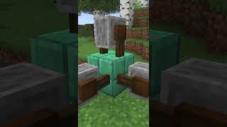 Minecraft Java vs Bedrock Differences!!!
