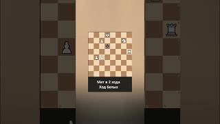 Шахматная задача 773 (Chess Problem 773)