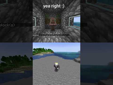 bro thought he could hide 💀💀💀💀 #minecraft #memes