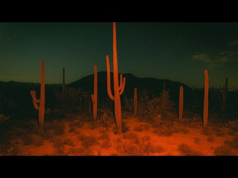 the devil's highway | southwestern gothic inspired playlist