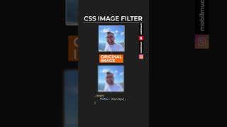 CSS Image Filter Blur #css #css3 #css3html5 #filter #filterimage #cssimage #cssfilter #blur