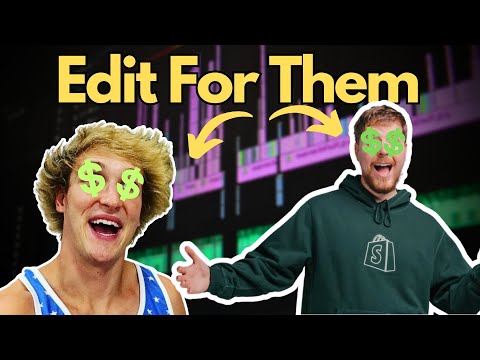 🤑EARN LOT OF MONEY🤑 Just By Applying This STEREGRY For VIDEO EDITORS...! | Video Editing 2024