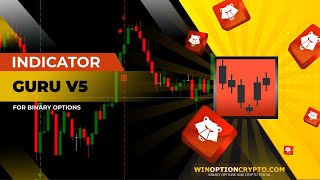 Guru V5 Binary Options Indicator + Pocket Option bonus