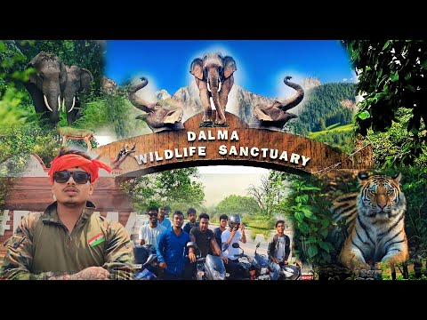 Dalma Wildlife Sanctuary | डलमा वन्य जीव अभयारण्य |एक जंगल की कहानी | @spwalavlogs