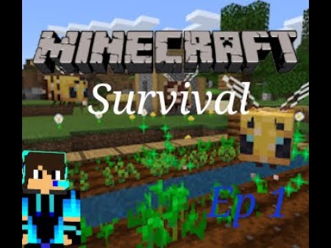 Empezamos y primera casa |Survival Ep.1
